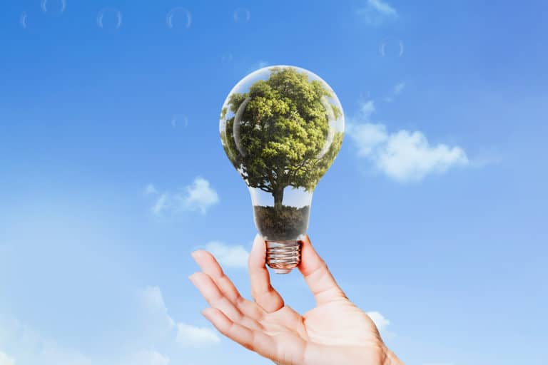 hand holding lightbulb with tree inside. clean energy.