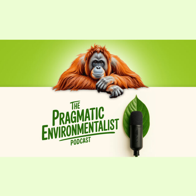 blog 92 syntech biofuel No Orangutans Were Hurt in the Making of This Podcast. Orangutan looking over a ledge at the podcast title - The Pragmatic Environmentalist.