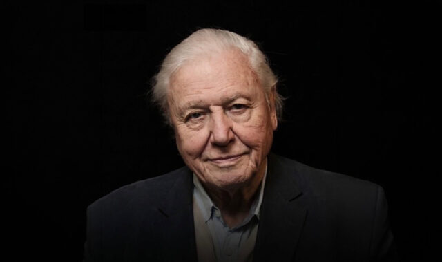 blog 108 Syntech Biofuel Happy Birthday Sir David Attenborough